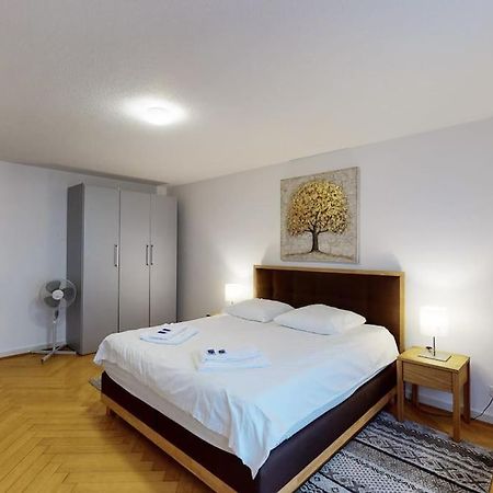 Bright 1 Bedroom Flat In The City Centre ซูริก ภายนอก รูปภาพ